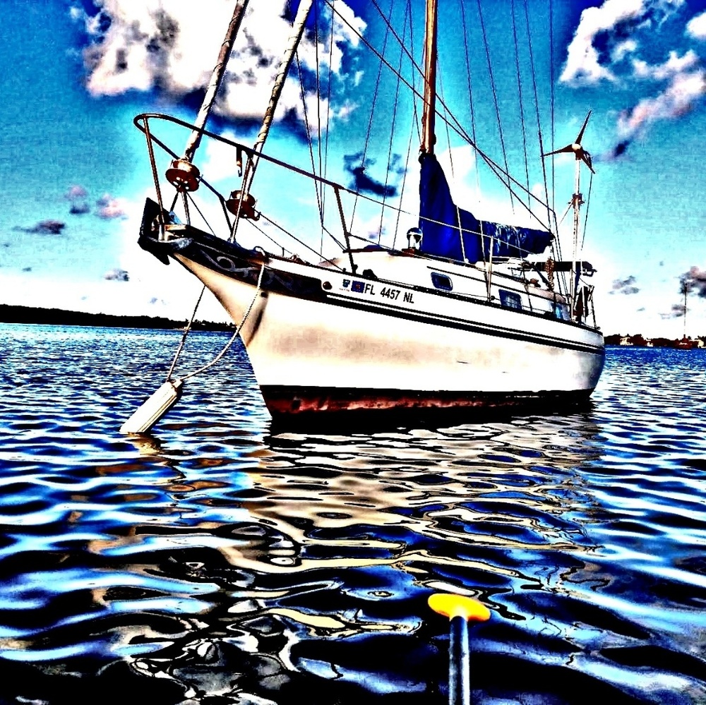 Print or canvas 16x20